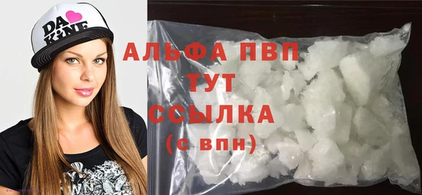 прущие грибы Липки