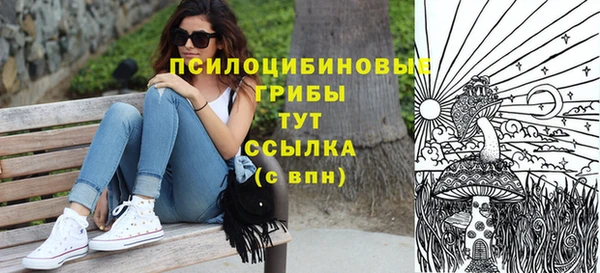 apvp Лихославль
