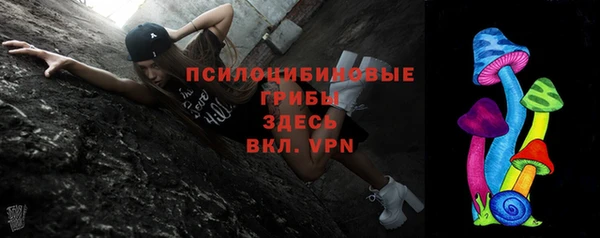 apvp Лихославль