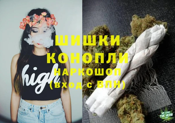 прущие грибы Липки