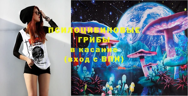 прущие грибы Липки
