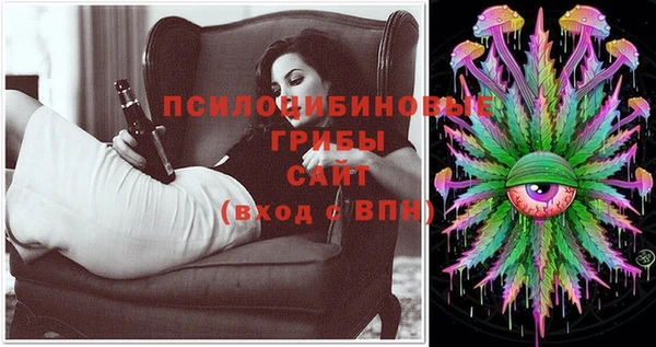 apvp Лихославль
