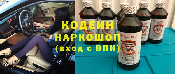 прущие грибы Липки
