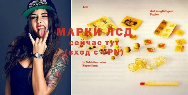 прущие грибы Липки