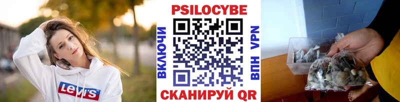 где купить наркоту  Шахунья  гидра зеркало  Галлюциногенные грибы Psilocybine cubensis 